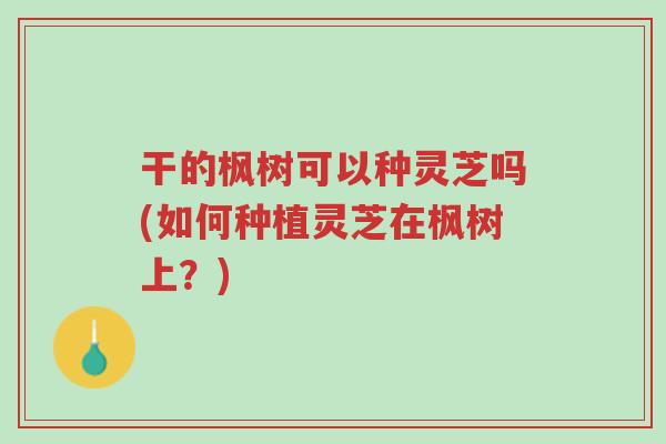 干的枫树可以种灵芝吗(如何种植灵芝在枫树上?)-第1张图片-超越 干的枫树可以种灵芝吗(如何种植灵芝在枫树上?)-第1张图片-超越