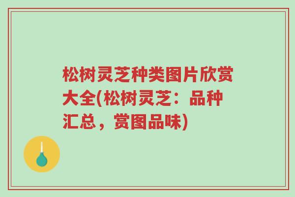 松树灵芝种类图片欣赏大全(松树灵芝:品种汇总,赏图品味)-第1张图片-超越 松树灵芝种类图片欣赏大全(松树灵芝:品种汇总,赏图品味)-第1张图片-超越
