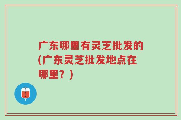 广东哪里有灵芝批发的(广东灵芝批发地点在哪里?)-第1张图片-超越 广东哪里有灵芝批发的(广东灵芝批发地点在哪里?)-第1张图片-超越