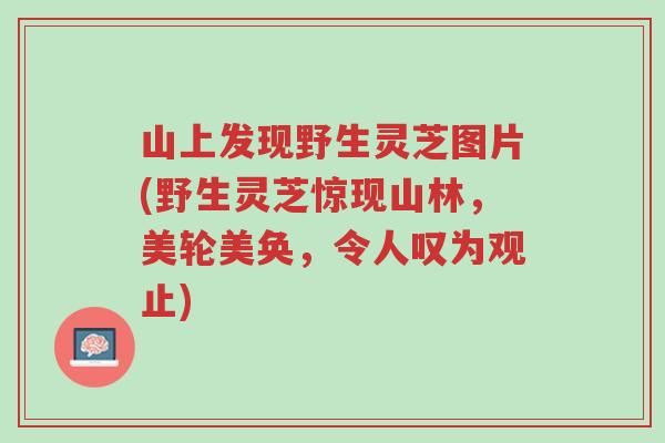 山上发现野生灵芝图片(野生灵芝惊现山林,美轮美奂,令人叹为观止)-第1张图片-超越 山上发现野生灵芝图片(野生灵芝惊现山林,美轮美奂,令人叹为观止)-第1张图片-超越