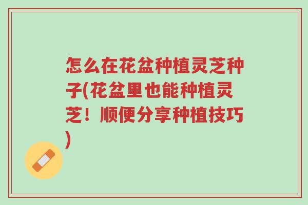怎么在花盆种植灵芝种子(花盆里也能种植灵芝!顺便分享种植技巧)-第1张图片-超越 怎么在花盆种植灵芝种子(花盆里也能种植灵芝!顺便分享种植技巧)-第1张图片-超越
