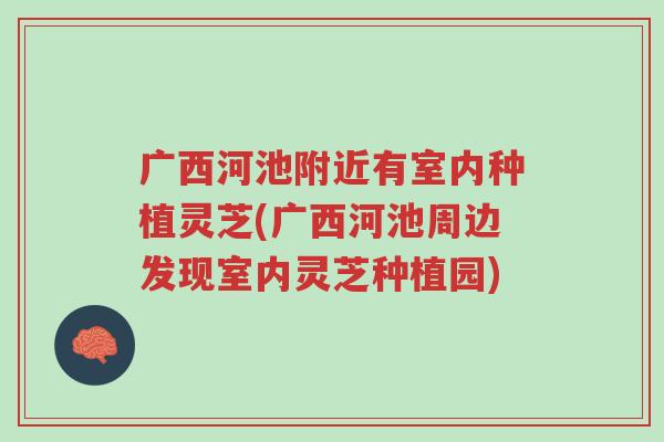 广西河池附近有室内种植灵芝(广西河池周边发现室内灵芝种植园)-第1张图片-超越 广西河池附近有室内种植灵芝(广西河池周边发现室内灵芝种植园)-第1张图片-超越