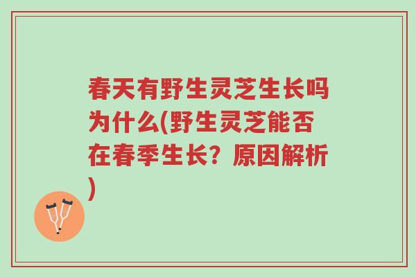 春天有野生灵芝生长吗为什么(野生灵芝能否在春季生长?原因解析)-第1张图片-超越 春天有野生灵芝生长吗为什么(野生灵芝能否在春季生长?原因解析)-第1张图片-超越