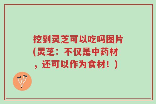 挖到灵芝可以吃吗图片(灵芝：不仅是中药材，还可以作为食材！)-第1张图片-超越
