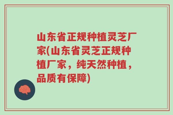 山东省正规种植灵芝厂家(山东省灵芝正规种植厂家，纯天然种植，品质有保障)-第1张图片-超越
