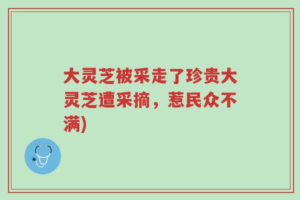 大灵芝被采走了珍贵大灵芝遭采摘，惹民众不满)-第1张图片-超越