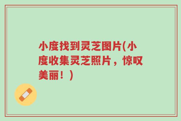 小度找到灵芝图片(小度收集灵芝照片,惊叹美丽!)-第1张图片-超越 小度找到灵芝图片(小度收集灵芝照片,惊叹美丽!)-第1张图片-超越