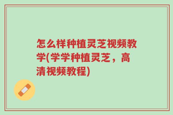 怎么样种植灵芝视频教学(学学种植灵芝,高清视频教程)-第1张图片-超越 怎么样种植灵芝视频教学(学学种植灵芝,高清视频教程)-第1张图片-超越
