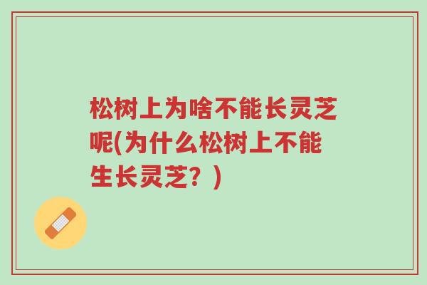松树上为啥不能长灵芝呢(为什么松树上不能生长灵芝?)-第1张图片-超越 松树上为啥不能长灵芝呢(为什么松树上不能生长灵芝?)-第1张图片-超越