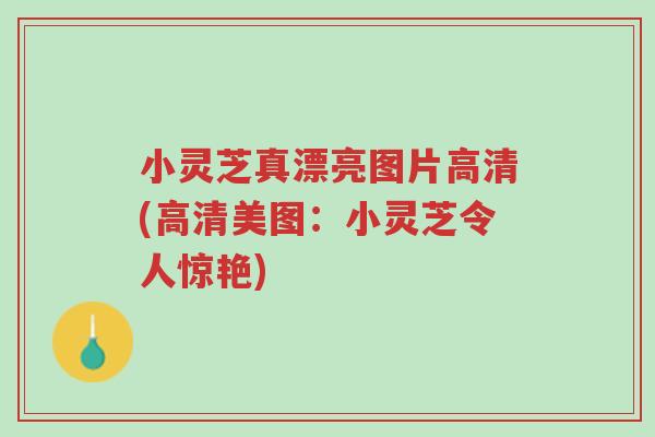 小灵芝真漂亮图片高清(高清美图：小灵芝令人惊艳)-第1张图片-超越