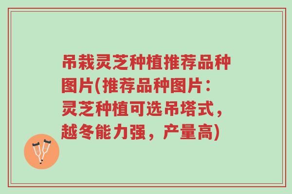吊栽灵芝种植推荐品种图片(推荐品种图片：灵芝种植可选吊塔式，越冬能力强，产量高)-第1张图片-超越