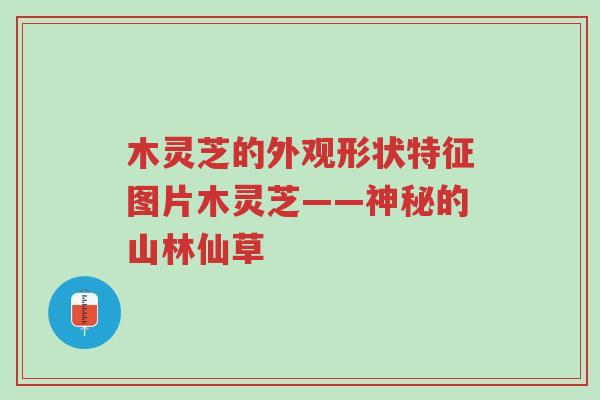 木灵芝的外观形状特征图片木灵芝——神秘的山林仙草-第1张图片-超越 木灵芝的外观形状特征图片木灵芝——神秘的山林仙草-第1张图片-超越