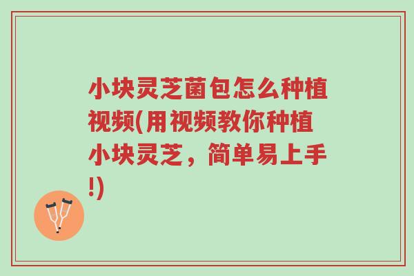 小块灵芝菌包怎么种植视频(用视频教你种植小块灵芝,简单易上手!)-第1张图片-超越 小块灵芝菌包怎么种植视频(用视频教你种植小块灵芝,简单易上手!)-第1张图片-超越