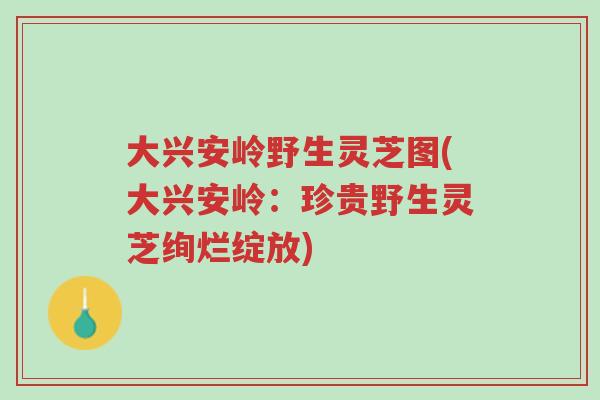 大兴安岭野生灵芝图(大兴安岭:珍贵野生灵芝绚烂绽放)-第1张图片-超越 大兴安岭野生灵芝图(大兴安岭:珍贵野生灵芝绚烂绽放)-第1张图片-超越