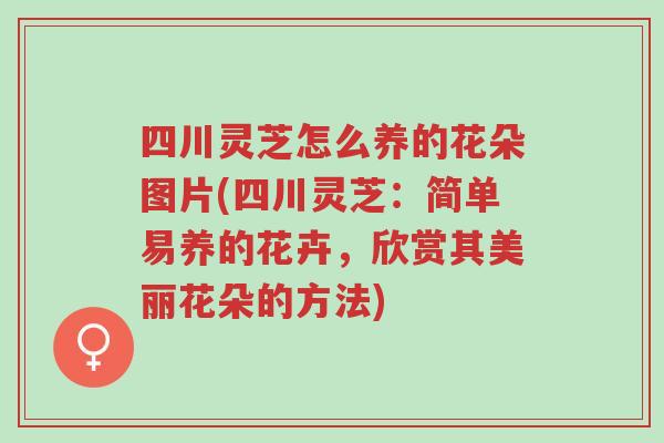 四川灵芝怎么养的花朵图片(四川灵芝：简单易养的花卉，欣赏其美丽花朵的方法)-第1张图片-超越