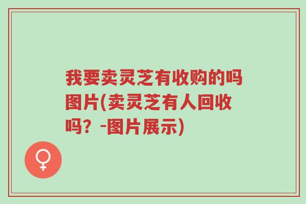我要卖灵芝有收购的吗图片(卖灵芝有人回收吗?-图片展示)-第1张图片-超越 我要卖灵芝有收购的吗图片(卖灵芝有人回收吗?-图片展示)-第1张图片-超越