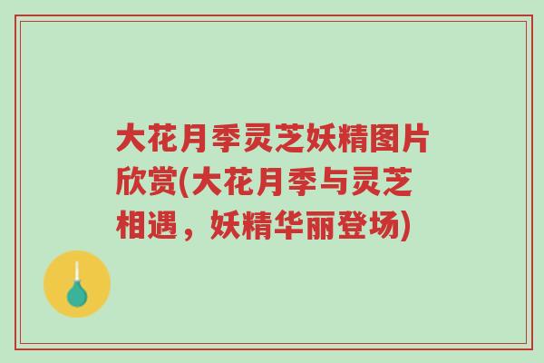大花月季灵芝妖精图片欣赏(大花月季与灵芝相遇,妖精华丽登场)-第1张图片-超越 大花月季灵芝妖精图片欣赏(大花月季与灵芝相遇,妖精华丽登场)-第1张图片-超越