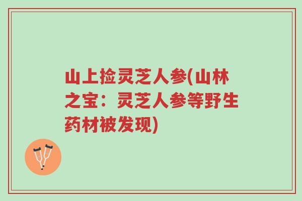 山上捡灵芝人参(山林之宝:灵芝人参等野生药材被发现)-第1张图片-超越 山上捡灵芝人参(山林之宝:灵芝人参等野生药材被发现)-第1张图片-超越