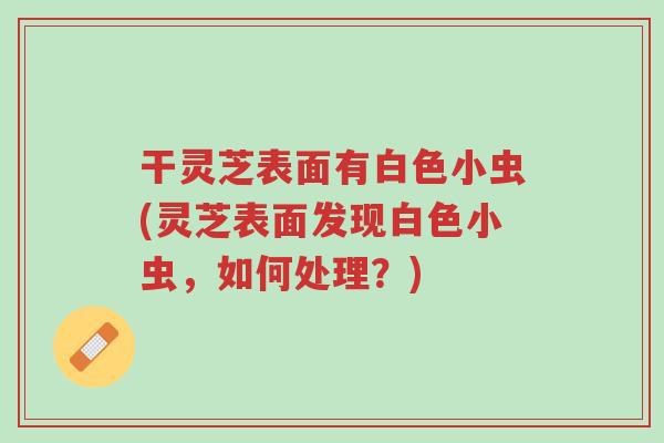 干灵芝表面有白色小虫(灵芝表面发现白色小虫,如何处理?)-第1张图片-超越 干灵芝表面有白色小虫(灵芝表面发现白色小虫,如何处理?)-第1张图片-超越