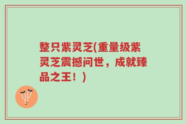 整只紫灵芝(重量级紫灵芝震撼问世,成就臻品之王!)-第1张图片-超越 整只紫灵芝(重量级紫灵芝震撼问世,成就臻品之王!)-第1张图片-超越