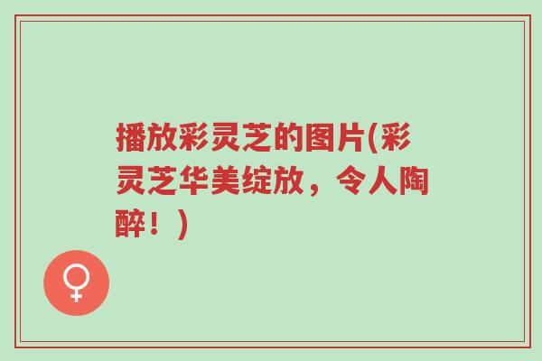 播放彩灵芝的图片(彩灵芝华美绽放,令人陶醉!)-第1张图片-超越 播放彩灵芝的图片(彩灵芝华美绽放,令人陶醉!)-第1张图片-超越