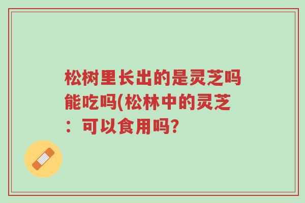 松树里长出的是灵芝吗能吃吗(松林中的灵芝:可以食用吗?-第1张图片-超越 松树里长出的是灵芝吗能吃吗(松林中的灵芝:可以食用吗?-第1张图片-超越