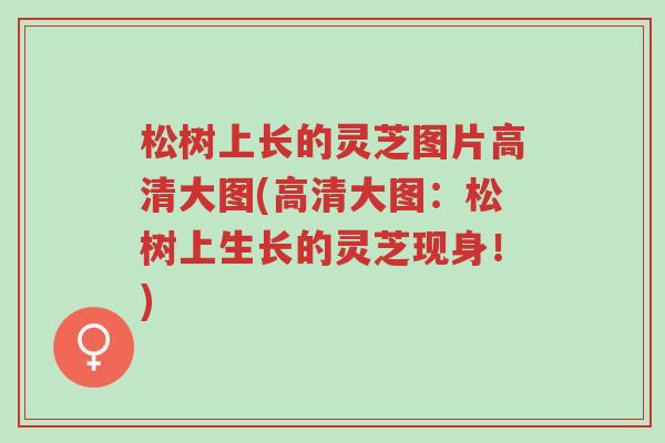 松树上长的灵芝图片高清大图(高清大图:松树上生长的灵芝现身!)-第1张图片-超越 松树上长的灵芝图片高清大图(高清大图:松树上生长的灵芝现身!)-第1张图片-超越