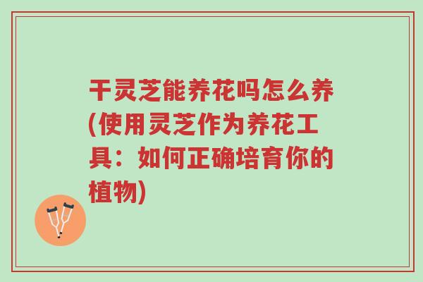 干灵芝能养花吗怎么养(使用灵芝作为养花工具:如何正确培育你的植物)-第1张图片-超越 干灵芝能养花吗怎么养(使用灵芝作为养花工具:如何正确培育你的植物)-第1张图片-超越