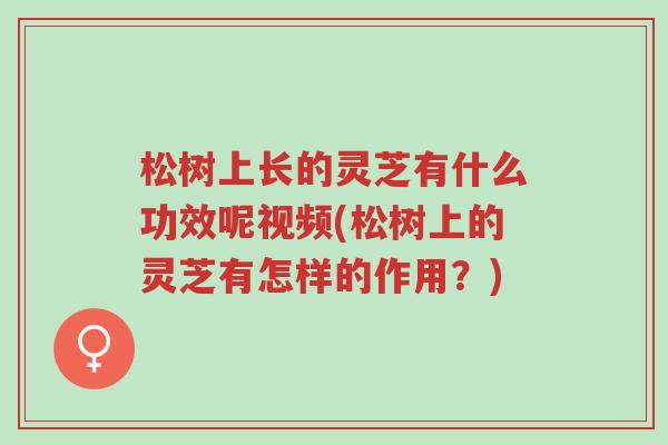 松树上长的灵芝有什么功效呢视频(松树上的灵芝有怎样的作用?)-第1张图片-超越 松树上长的灵芝有什么功效呢视频(松树上的灵芝有怎样的作用?)-第1张图片-超越
