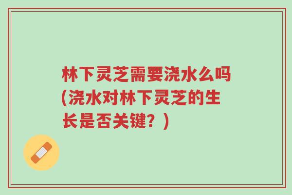 林下灵芝需要浇水么吗(浇水对林下灵芝的生长是否关键？)-第1张图片-超越
