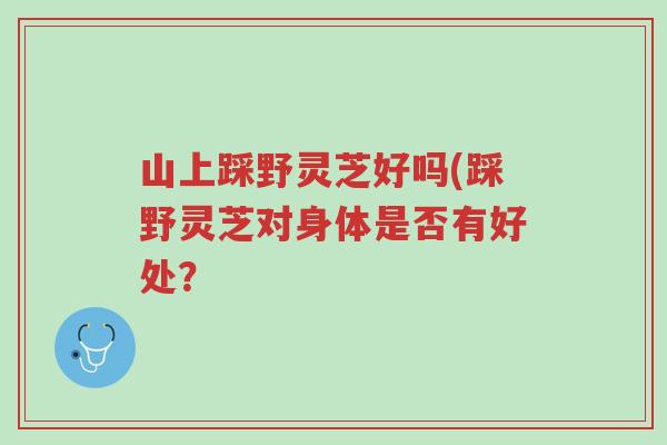 山上踩野灵芝好吗(踩野灵芝对身体是否有好处?-第1张图片-超越 山上踩野灵芝好吗(踩野灵芝对身体是否有好处?-第1张图片-超越