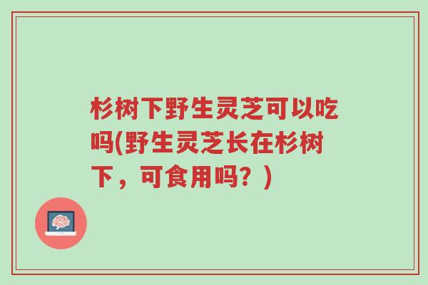 杉树下野生灵芝可以吃吗(野生灵芝长在杉树下,可食用吗?)-第1张图片-超越 杉树下野生灵芝可以吃吗(野生灵芝长在杉树下,可食用吗?)-第1张图片-超越