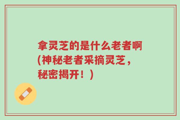 拿灵芝的是什么老者啊(神秘老者采摘灵芝,秘密揭开!)-第1张图片-超越 拿灵芝的是什么老者啊(神秘老者采摘灵芝,秘密揭开!)-第1张图片-超越
