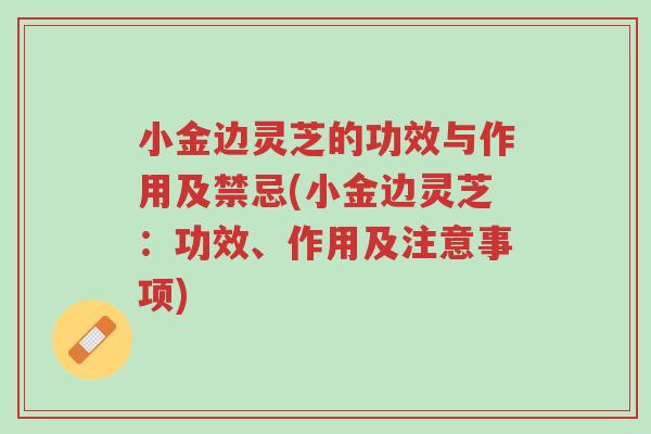 小金边灵芝的功效与作用及禁忌(小金边灵芝：功效、作用及注意事项)-第1张图片-超越