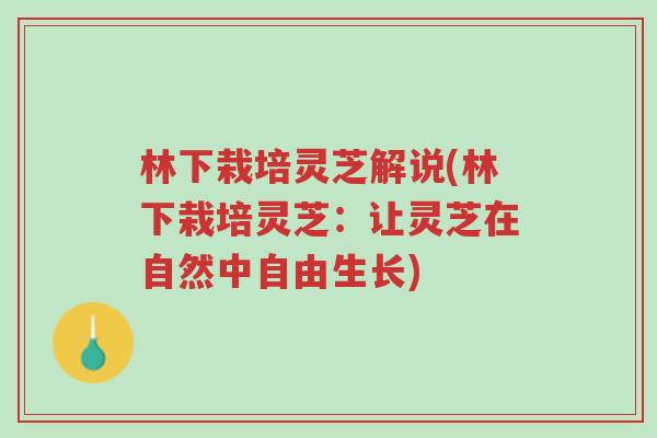 林下栽培灵芝解说(林下栽培灵芝:让灵芝在自然中自由生长)-第1张图片-超越 林下栽培灵芝解说(林下栽培灵芝:让灵芝在自然中自由生长)-第1张图片-超越