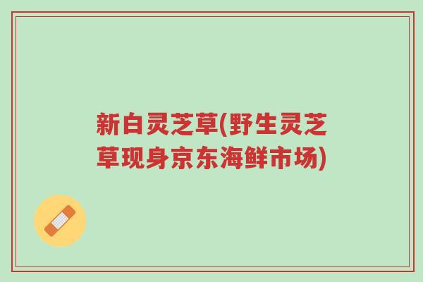 新白灵芝草(野生灵芝草现身京东海鲜市场)-第1张图片-超越 新白灵芝草(野生灵芝草现身京东海鲜市场)-第1张图片-超越