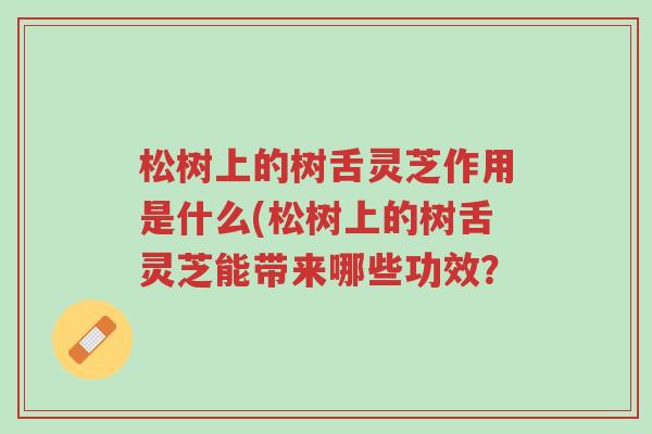 松树上的树舌灵芝作用是什么(松树上的树舌灵芝能带来哪些功效?-第1张图片-超越 松树上的树舌灵芝作用是什么(松树上的树舌灵芝能带来哪些功效?-第1张图片-超越