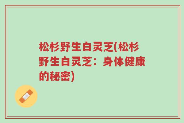 松杉野生白灵芝(松杉野生白灵芝:身体健康的秘密)-第1张图片-超越 松杉野生白灵芝(松杉野生白灵芝:身体健康的秘密)-第1张图片-超越