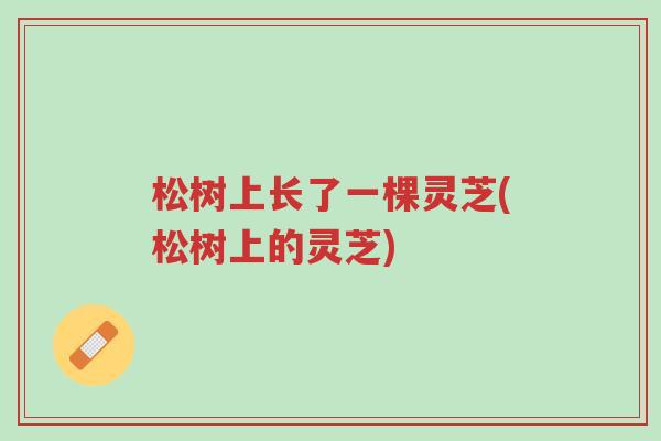 松树上长了一棵灵芝(松树上的灵芝)-第1张图片-超越 松树上长了一棵灵芝(松树上的灵芝)-第1张图片-超越