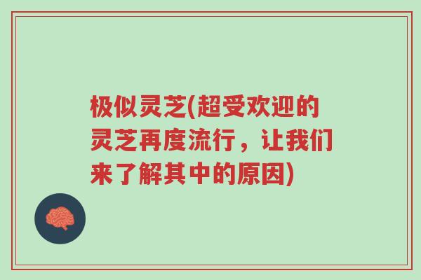 极似灵芝(超受欢迎的灵芝再度流行,让我们来了解其中的原因)-第1张图片-超越 极似灵芝(超受欢迎的灵芝再度流行,让我们来了解其中的原因)-第1张图片-超越