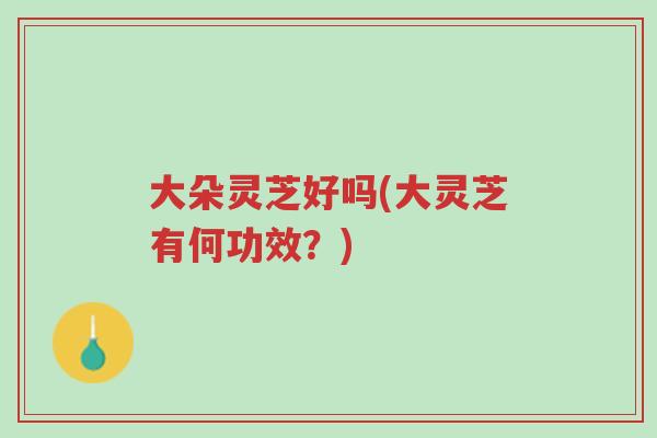 大朵灵芝好吗(大灵芝有何功效?)-第1张图片-超越 大朵灵芝好吗(大灵芝有何功效?)-第1张图片-超越