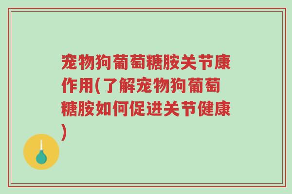 宠物狗葡萄糖胺关节康作用(了解宠物狗葡萄糖胺如何促进关节健康)-第1张图片-超越 宠物狗葡萄糖胺关节康作用(了解宠物狗葡萄糖胺如何促进关节健康)-第1张图片-超越