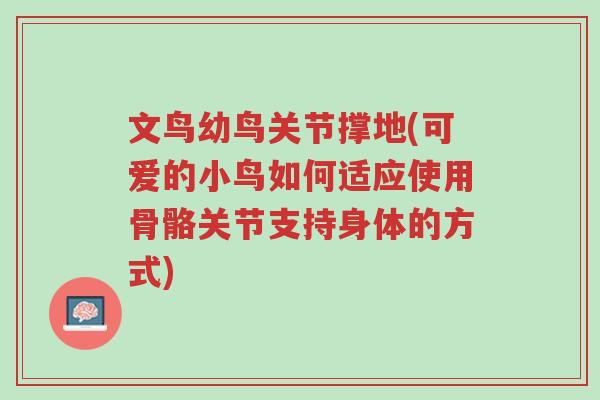 文鸟幼鸟关节撑地(可爱的小鸟如何适应使用骨骼关节支持身体的方式)-第1张图片-超越 文鸟幼鸟关节撑地(可爱的小鸟如何适应使用骨骼关节支持身体的方式)-第1张图片-超越