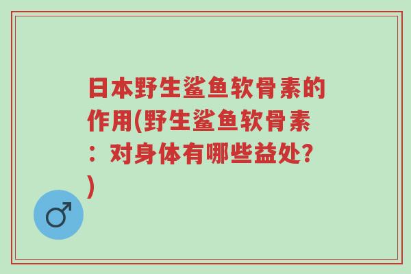 日本野生鲨鱼软骨素的作用(野生鲨鱼软骨素:对身体有哪些益处?)-第1张图片-超越 日本野生鲨鱼软骨素的作用(野生鲨鱼软骨素:对身体有哪些益处?)-第1张图片-超越