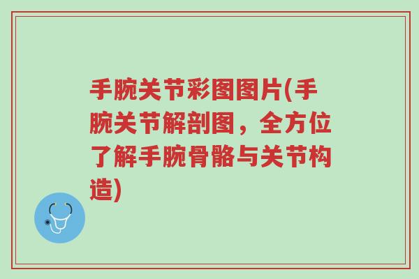 手腕关节彩图图片(手腕关节解剖图,全方位了解手腕骨骼与关节构造)-第1张图片-超越 手腕关节彩图图片(手腕关节解剖图,全方位了解手腕骨骼与关节构造)-第1张图片-超越