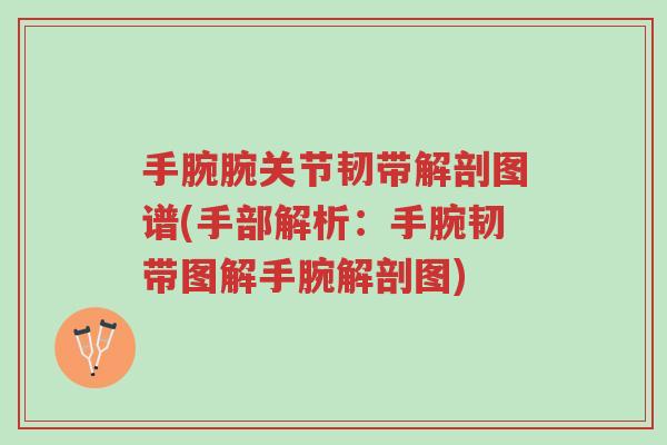 手腕腕关节韧带解剖图谱(手部解析：手腕韧带图解手腕解剖图)-第1张图片-超越