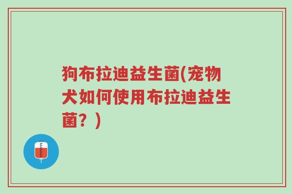 狗布拉迪益生菌(宠物犬如何使用布拉迪益生菌?)-第1张图片-超越 狗布拉迪益生菌(宠物犬如何使用布拉迪益生菌?)-第1张图片-超越