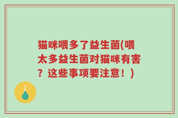 猫咪喂多了益生菌(喂太多益生菌对猫咪有害?这些事项要注意!)-第1张图片-超越 猫咪喂多了益生菌(喂太多益生菌对猫咪有害?这些事项要注意!)-第1张图片-超越