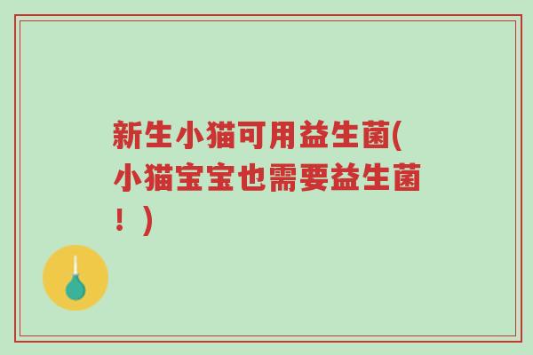 新生小猫可用益生菌(小猫宝宝也需要益生菌!)-第1张图片-超越 新生小猫可用益生菌(小猫宝宝也需要益生菌!)-第1张图片-超越