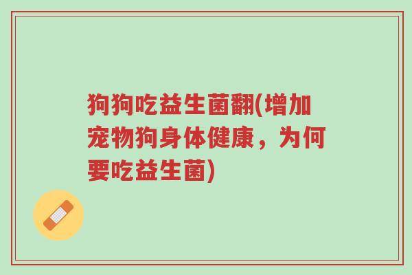 狗狗吃益生菌翻(增加宠物狗身体健康,为何要吃益生菌)-第1张图片-超越 狗狗吃益生菌翻(增加宠物狗身体健康,为何要吃益生菌)-第1张图片-超越